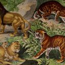 Thumbnail image of Natural history of the animal kingdom for the use of young people. Plate VII (Foldout, Illustration)