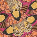 Thumbnail image of Papillons. Pl. 18 (Illustration)