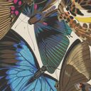 Thumbnail image of Papillons. Pl. 16 (Illustration)