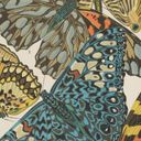Thumbnail image of Papillons. Pl. 13 (Illustration)