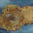 Thumbnail image of Sunflowers